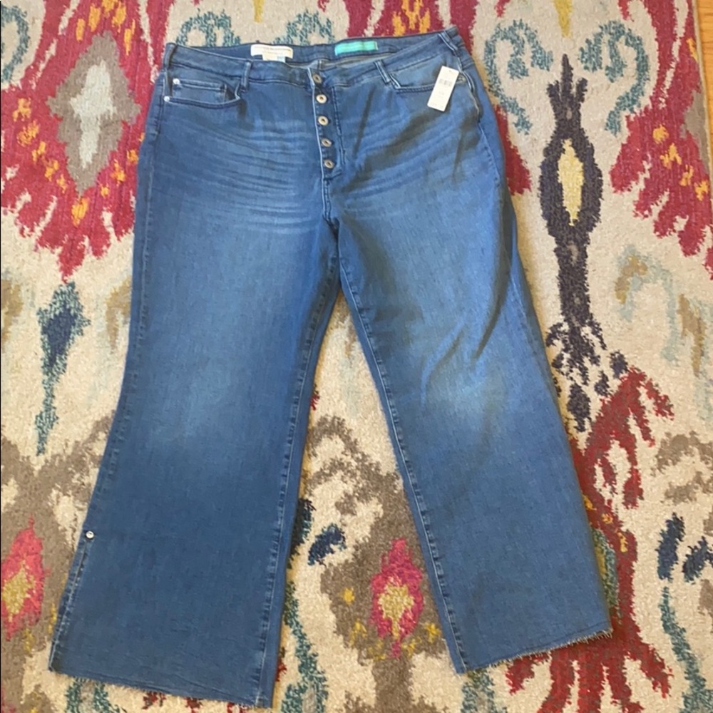 NWT Anthropologie Plus size Jeans 24W skinny boot